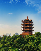 張執(zhí)浩：在黃鶴樓下寫(xiě)詩(shī)